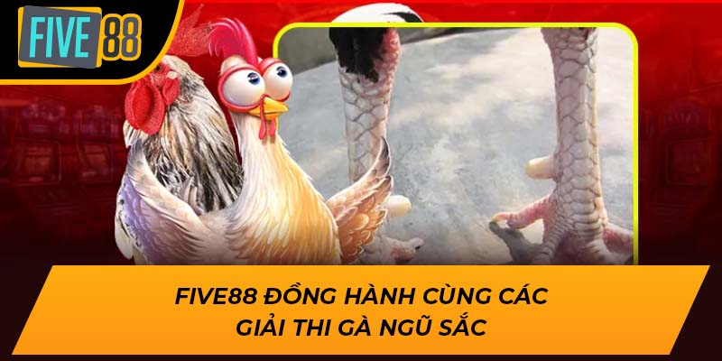 Khám Phá Loại Gà Ngũ Sắc Chân Trắng Đặc Biệt Tại Five88 3 Five88 đồng hành cùng các giải thi gà ngũ sắc
