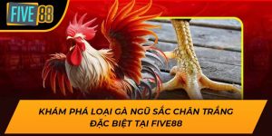 Khám Phá Loại Gà Ngũ Sắc Chân Trắng Đặc Biệt Tại Five88