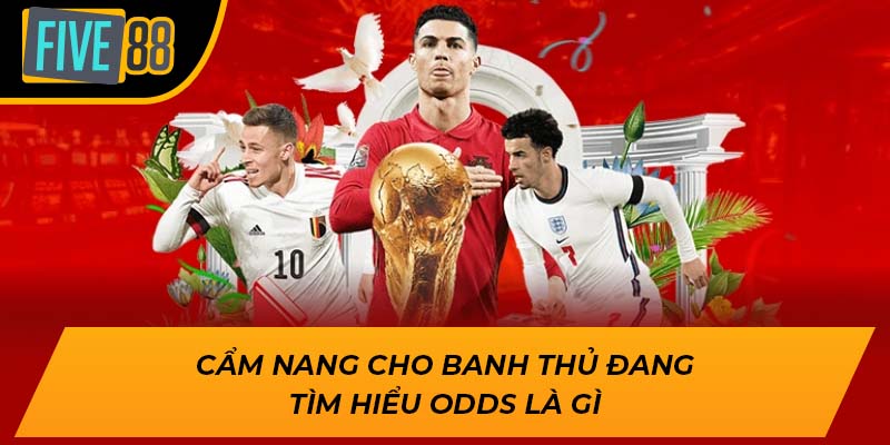 Cẩm nang cho banh thủ đang tìm hiểu odds là gì