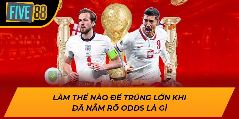 Làm thế nào để trúng lớn khi đã nắm rõ odds là gì