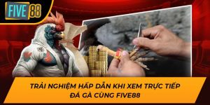 Trải Nghiệm Hấp Dẫn Khi Xem Trực Tiếp Đá Gà Cùng Five88