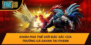 Khám Phá Thế Giới Đặc Sắc Của Trường Gà Savan tại Five88